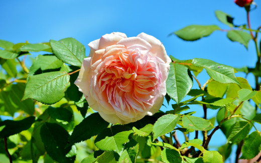 1182598 (a): :2560x1600